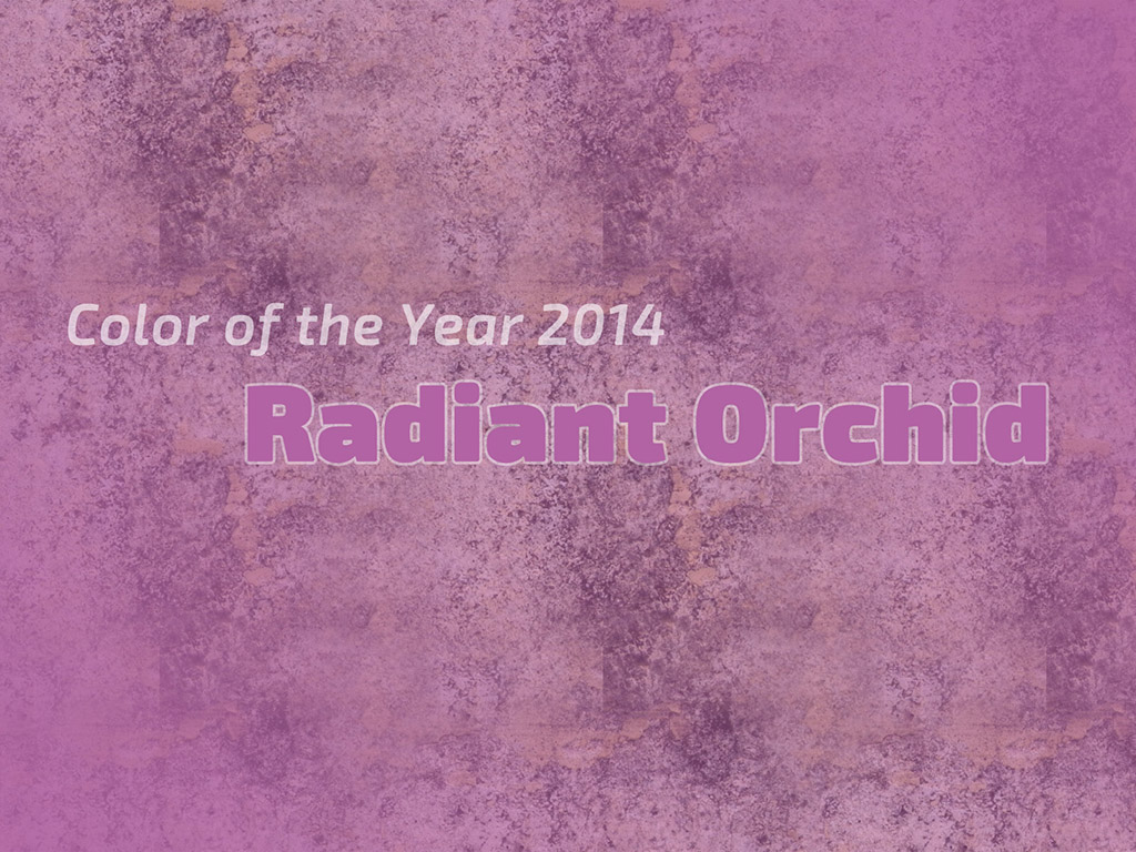Radiant Orchid #005