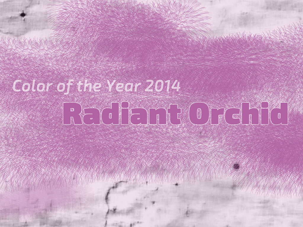 Radiant Orchid #006