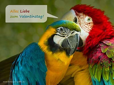 Tier wünscht alles Liebe zum Valentinstag!