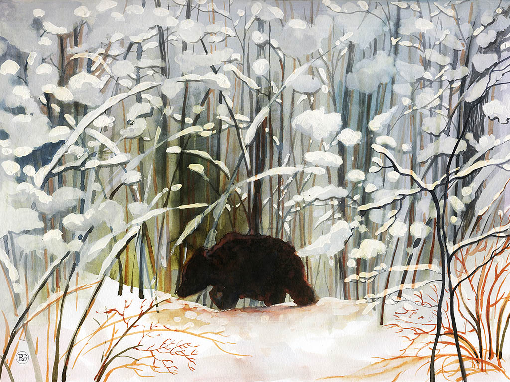 Junger Braunbär im Schnee - Wintermärchen - Kostenloses Hintergrundbild