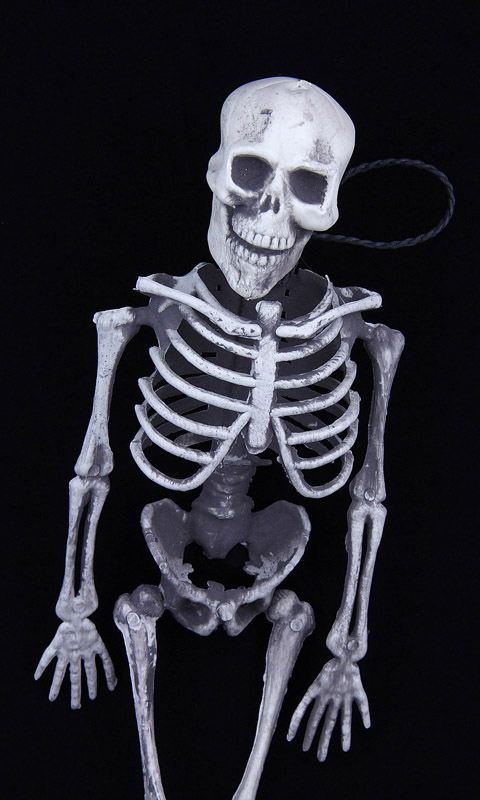 Handy Hintergrundbild: Skelett