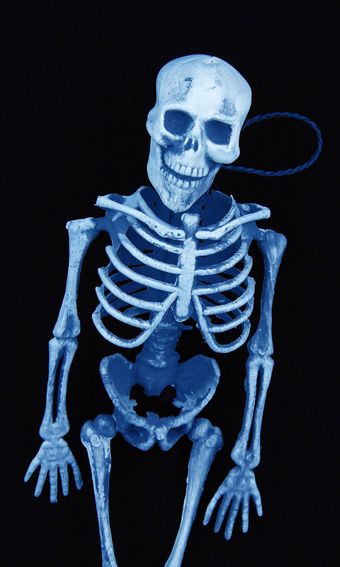 Handy Hintergrundbild: Skelett