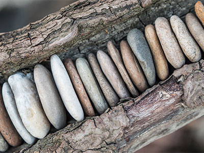 Stones within wood