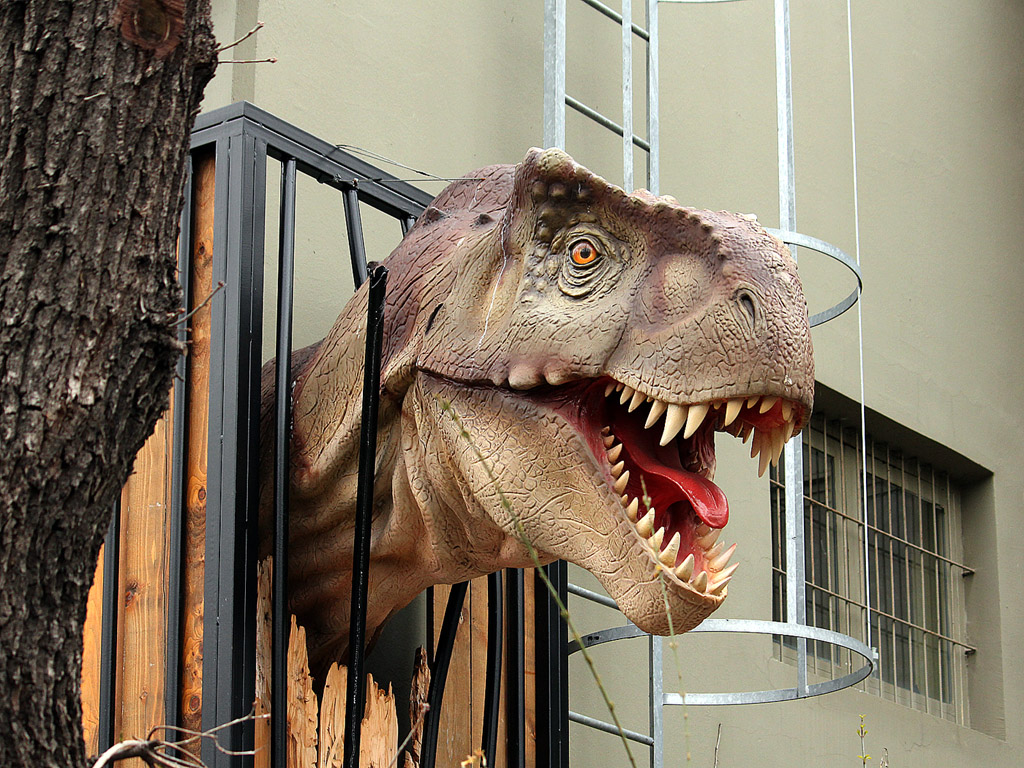 Dinosaurier 001