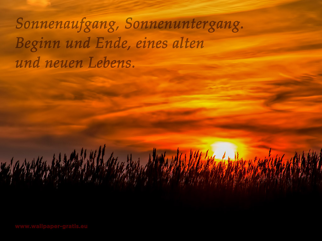 Zitat Sonnenuntergang #004