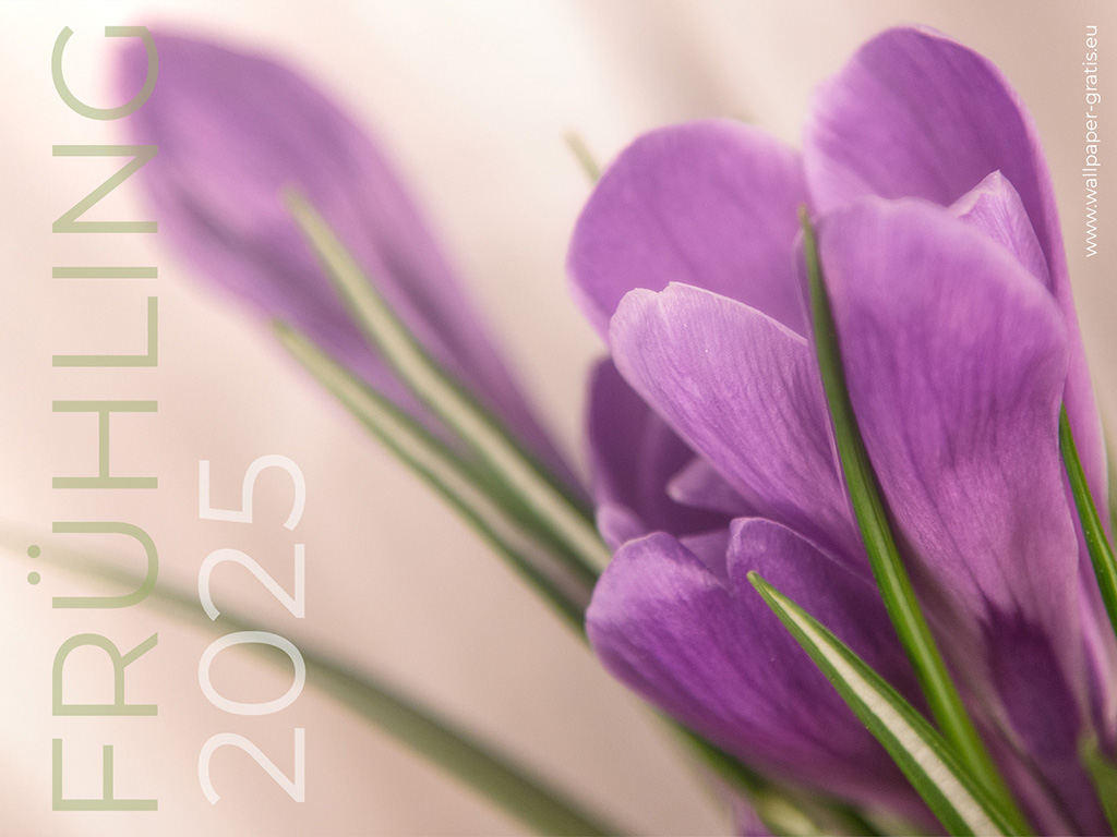 Frühling 2025