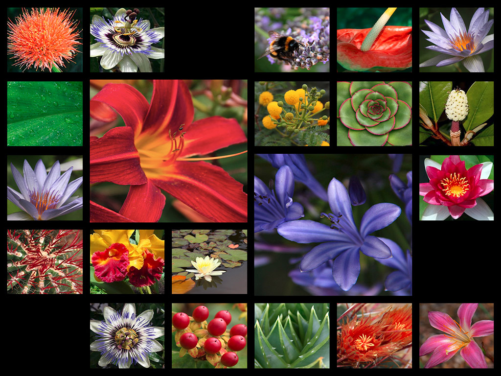 Mosaik - Blumen