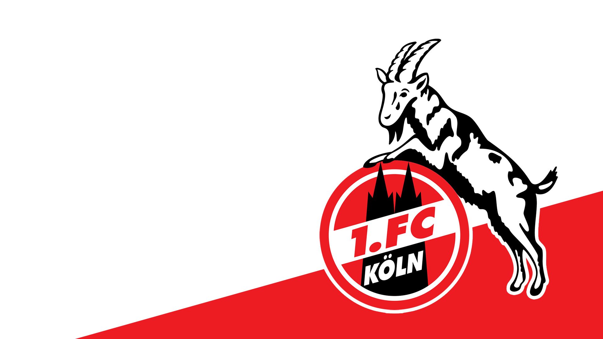 1. FC Köln #001 - Hintergrundbild