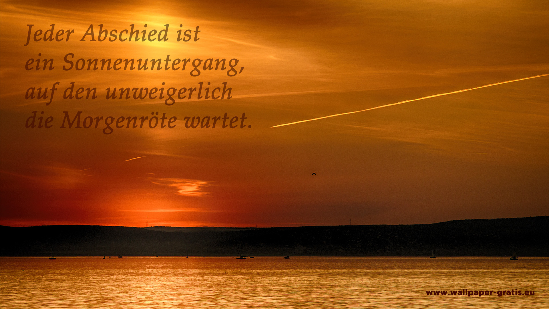 Zitat - Sonnenuntergang #001 - Hintergrundbild