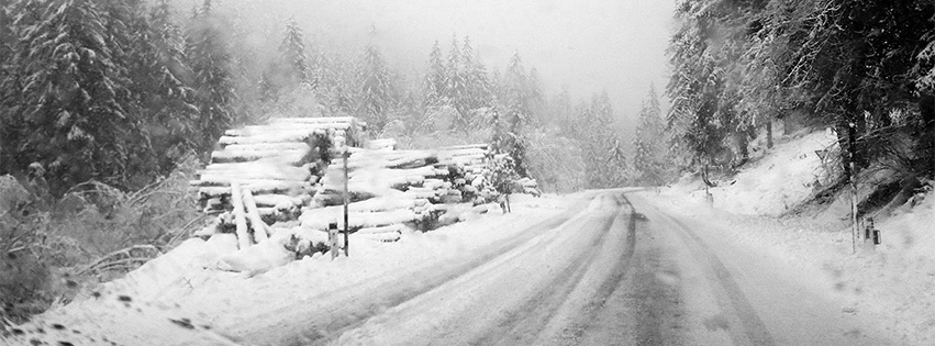 Winter - unterwegs bei Schneefall