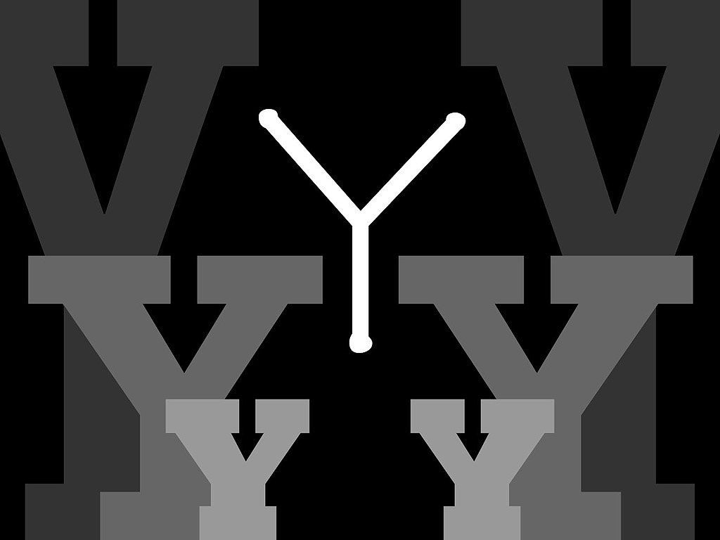 Buchstabe Y - schwarz-weiss - Typografie