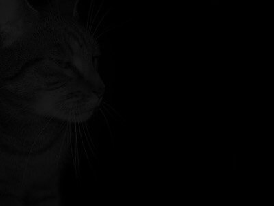 Schwarz