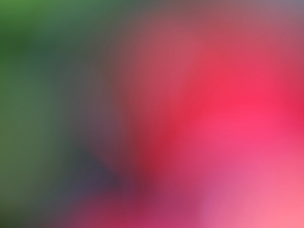 Frühlingsfarben Hintergundbild gratis
