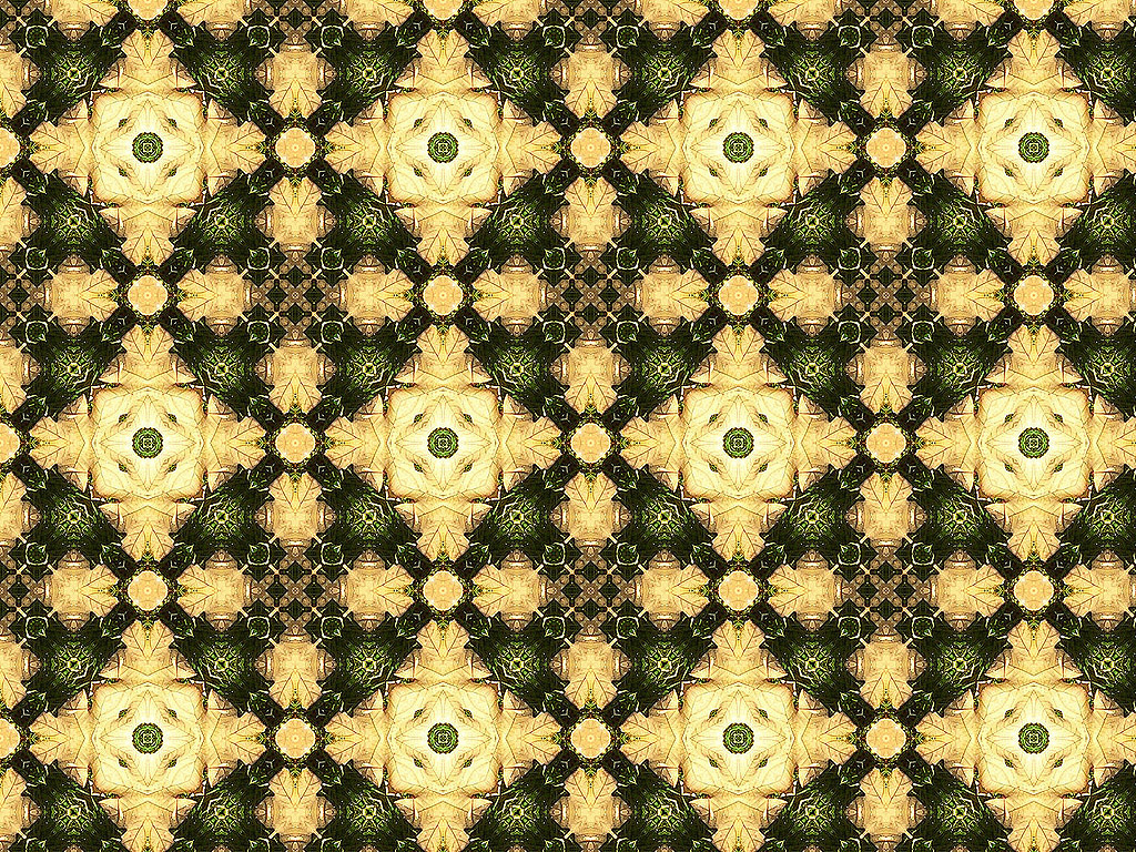 Kaleidoskop #066