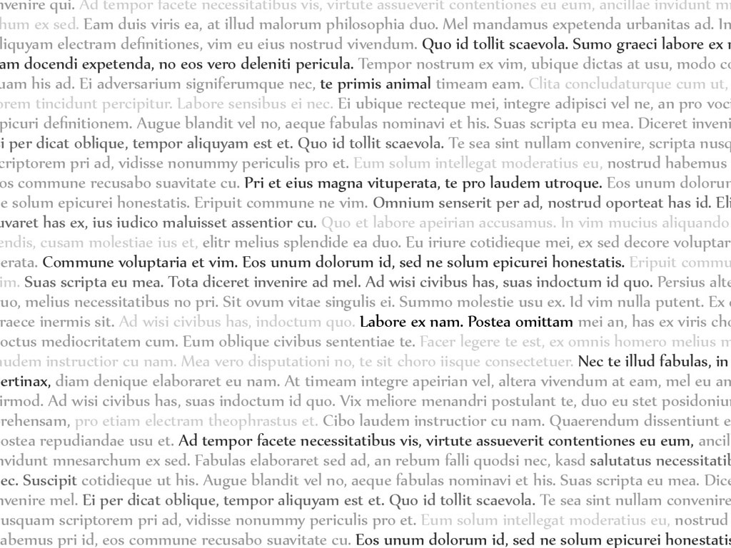 Lorem Ipsum #002