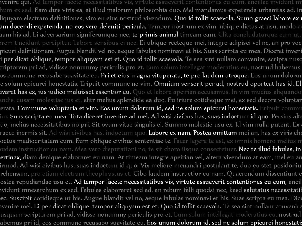 Lorem Ipsum #012