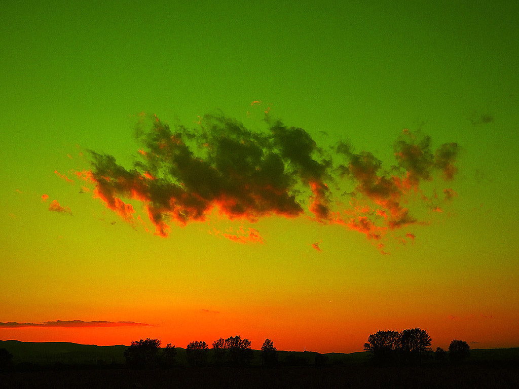 Surrealistische Farben - grüner Himmel