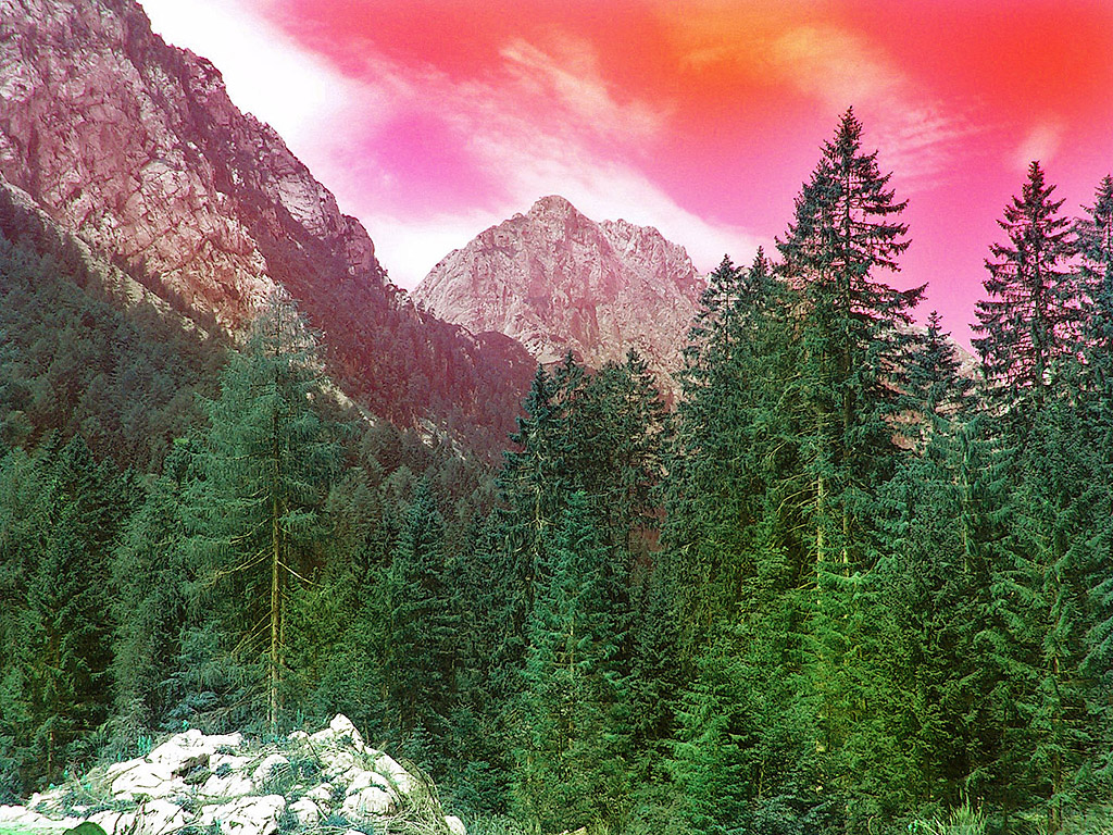 Rosa Himmel, Berg, Tannenbäume - Surrealistische Farben