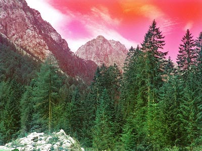 Surrealistische Farben - Rosa Himmel, Berg, Tannenbäume