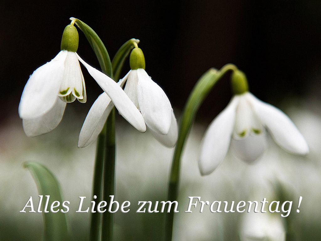 Frauentag 001