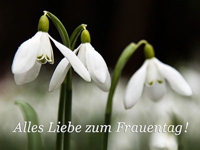 Internationaler Frauentag: 8. März