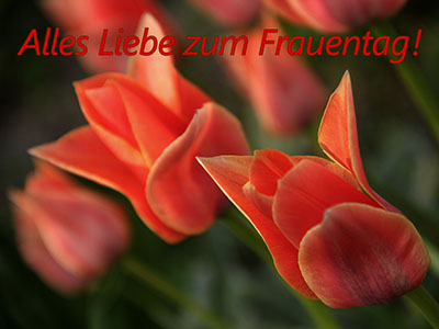 Alles Liebe zum Frauentag!