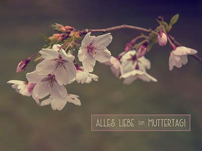 Alles Liebe zum Muttertag!