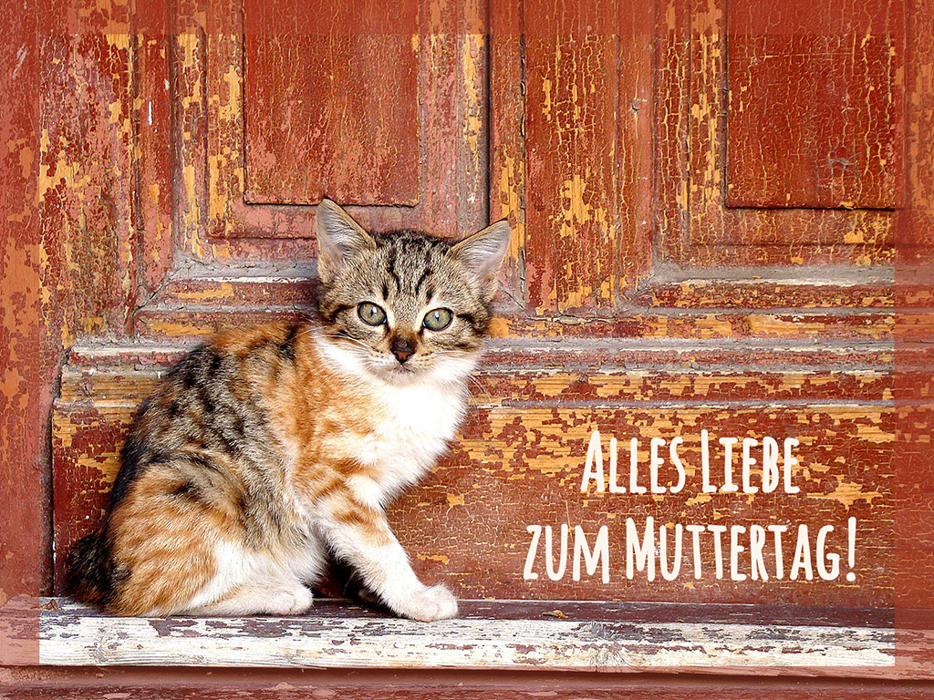 Alles Liebe zum Muttertag #002