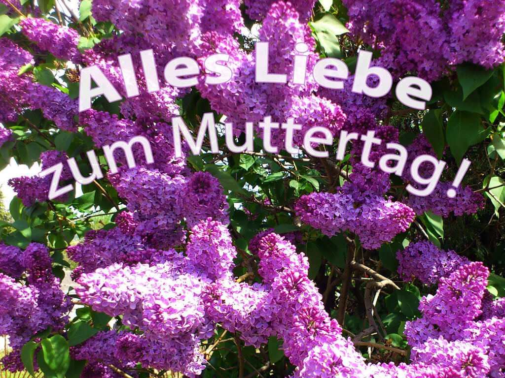 Muttertag #003