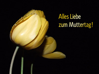 Alles Liebe zum Muttertag!