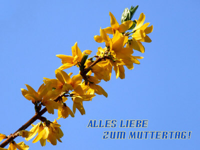 Alles Liebe zum Muttertag!