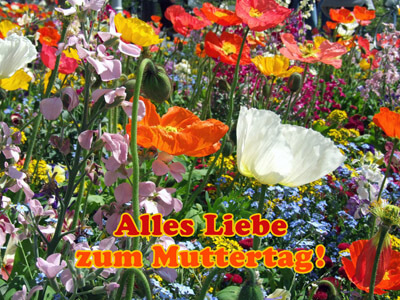 Alles Liebe zum Muttertag!