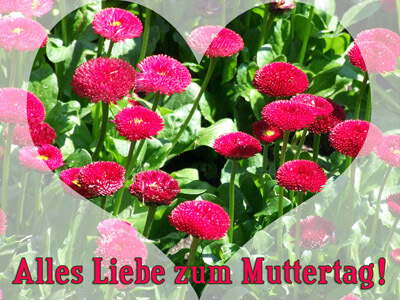 Alles Liebe zum Muttertag!