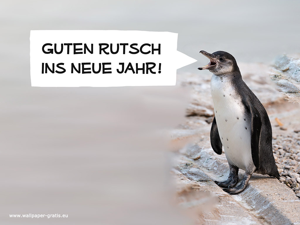 Tier wünscht guten Rutsch... 002