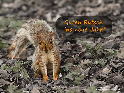 Guten Rutsch ins neue Jahr!