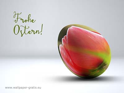 Osterei mit Tulpe