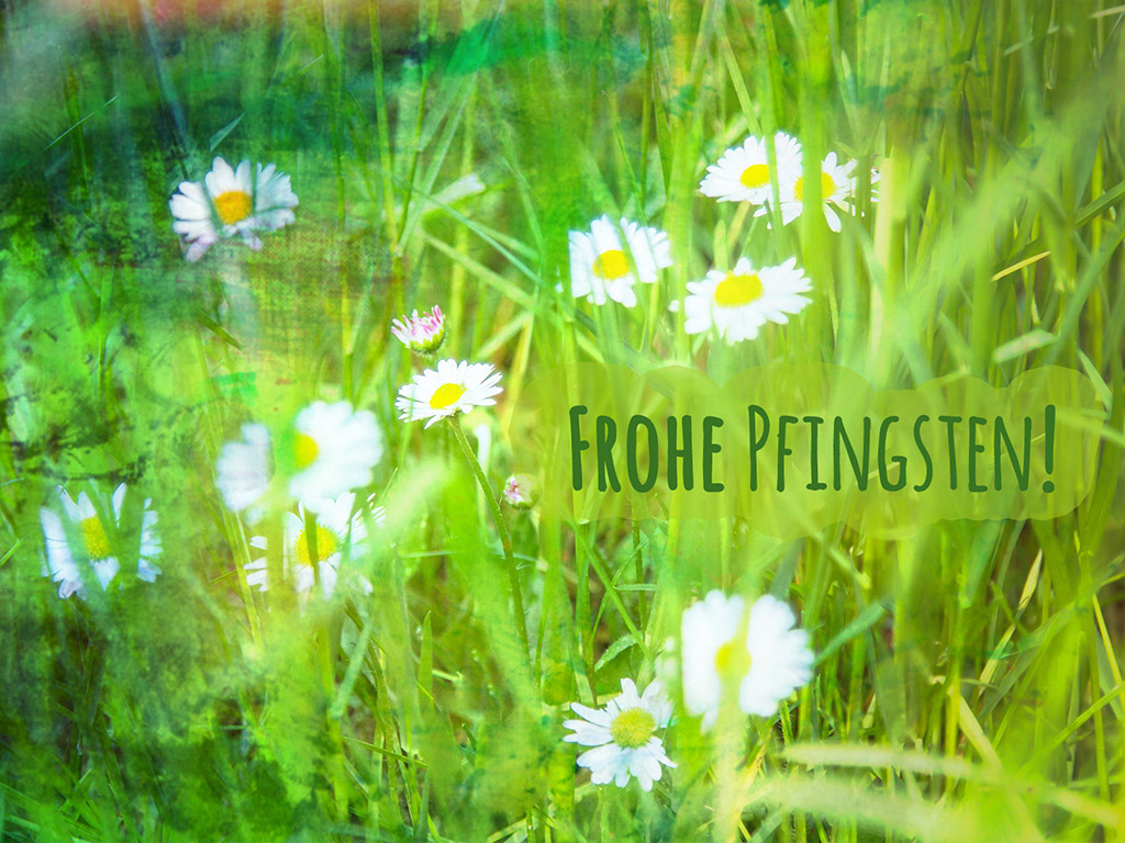 Frohe Pfingsten! 106