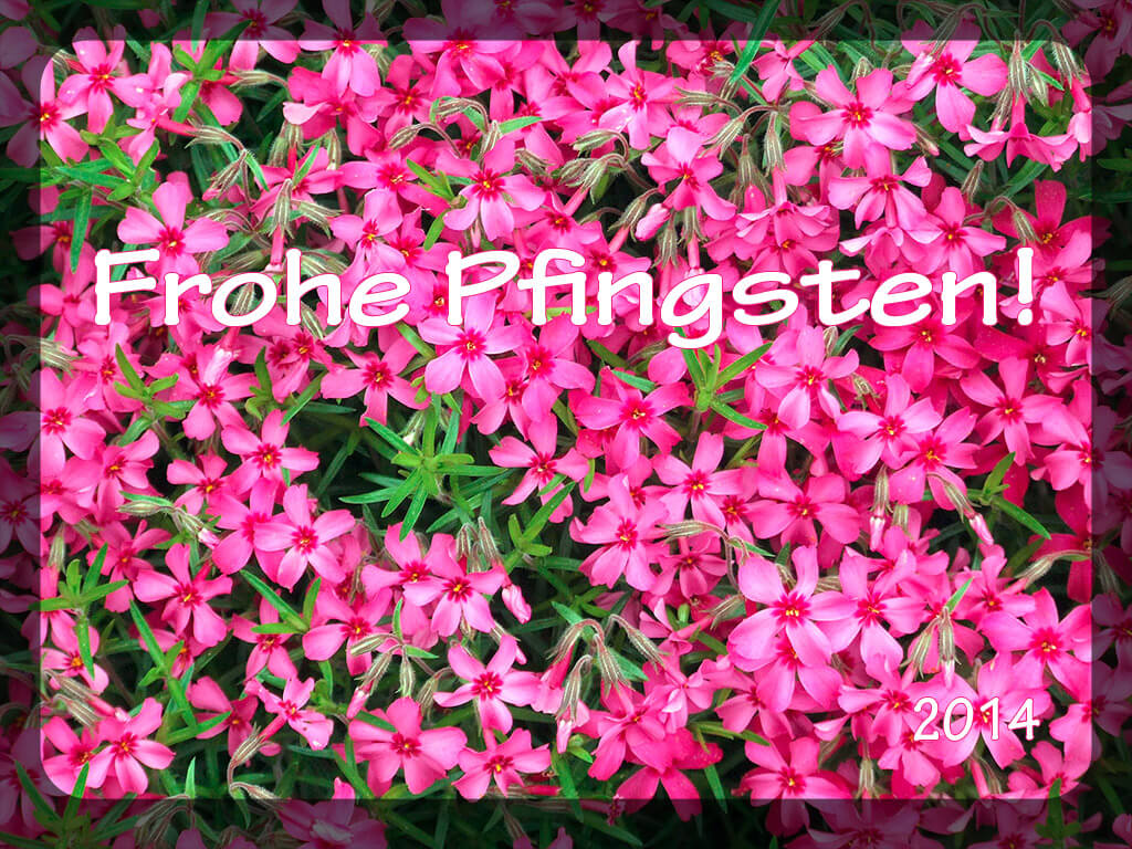 Pfingsten - Kostenloses Hintergrundbild