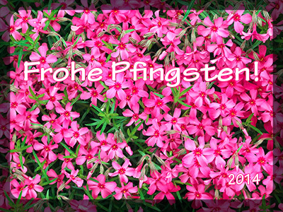 Frohe Pfingsten!