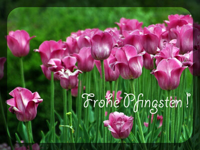 Frohe Pfingsten!
