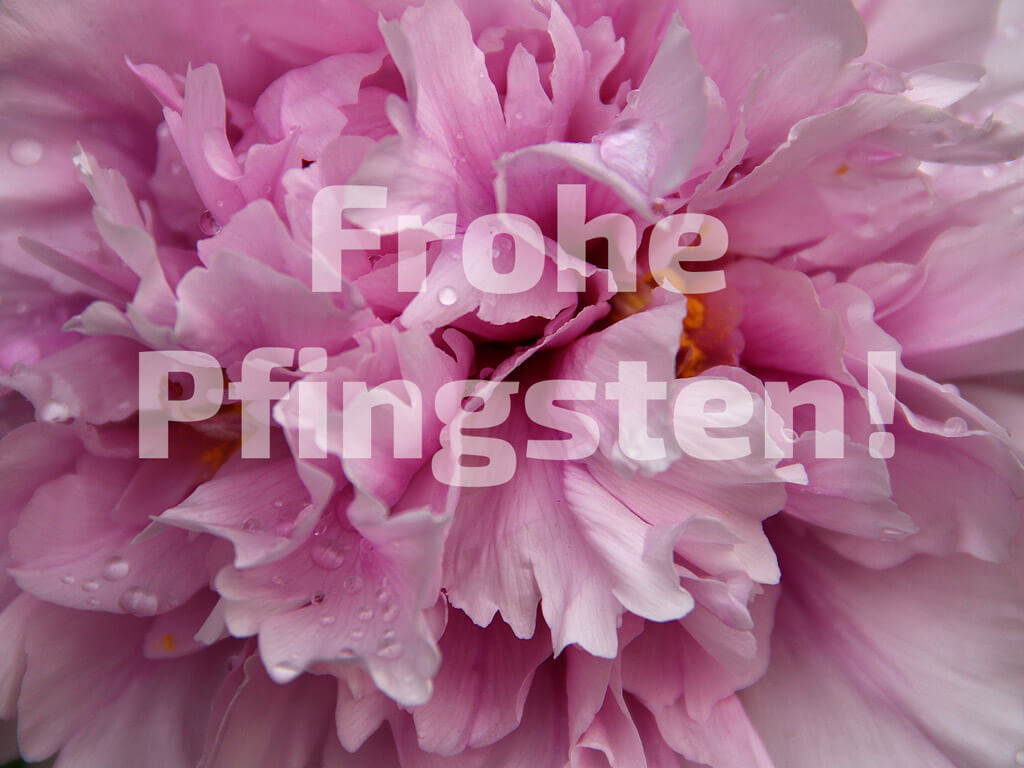 Frohe Pfingsten 007