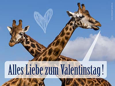 Tier wünscht alles Liebe zum Valentinstag!