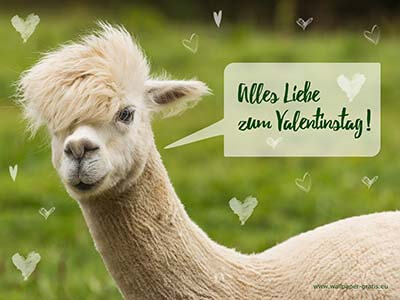 Tiere wünschen alles Liebe zum Valentinstag