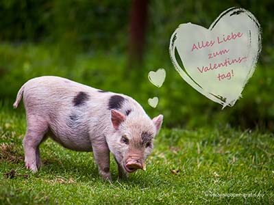 Tier wünscht alles Liebe zum Valentinstag!