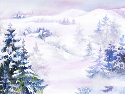 Wintermärchen - Schneebedeckte Tannenbäume