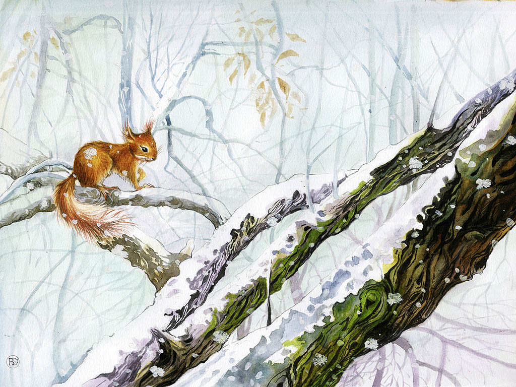 Einhörnchen an einem Winterbaum- Wintermärchen - Kostenloses Hintergrundbild