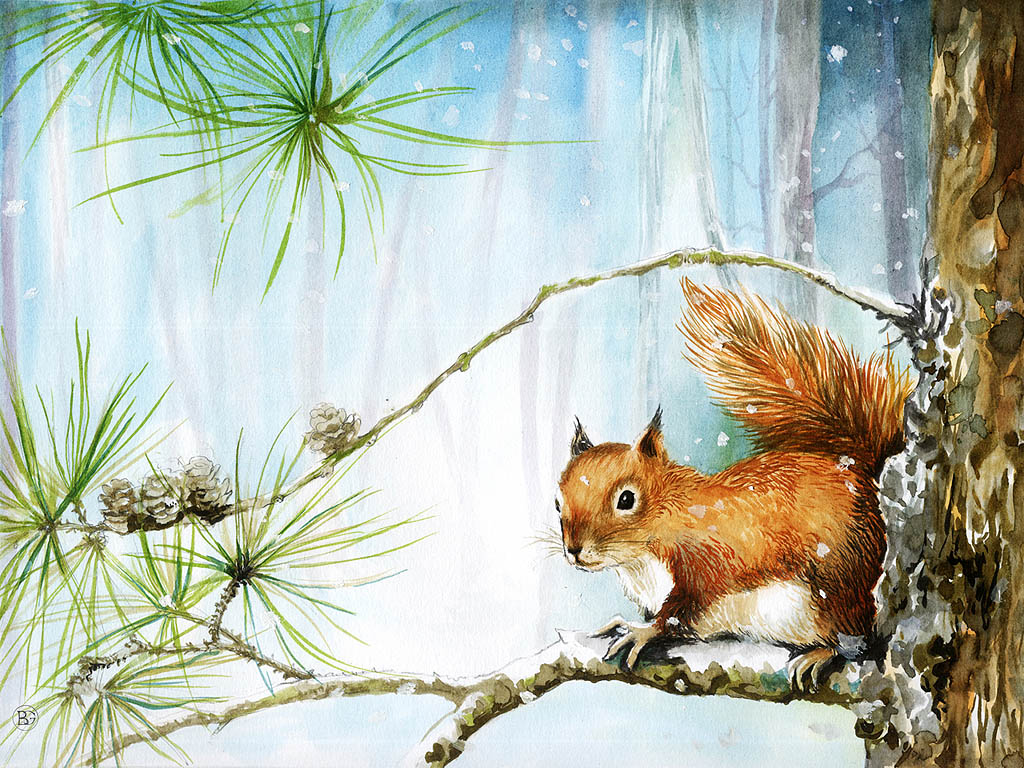 Einhörnchen im Winterwald - Wintermärchen - Kostenloses Hintergrundbild