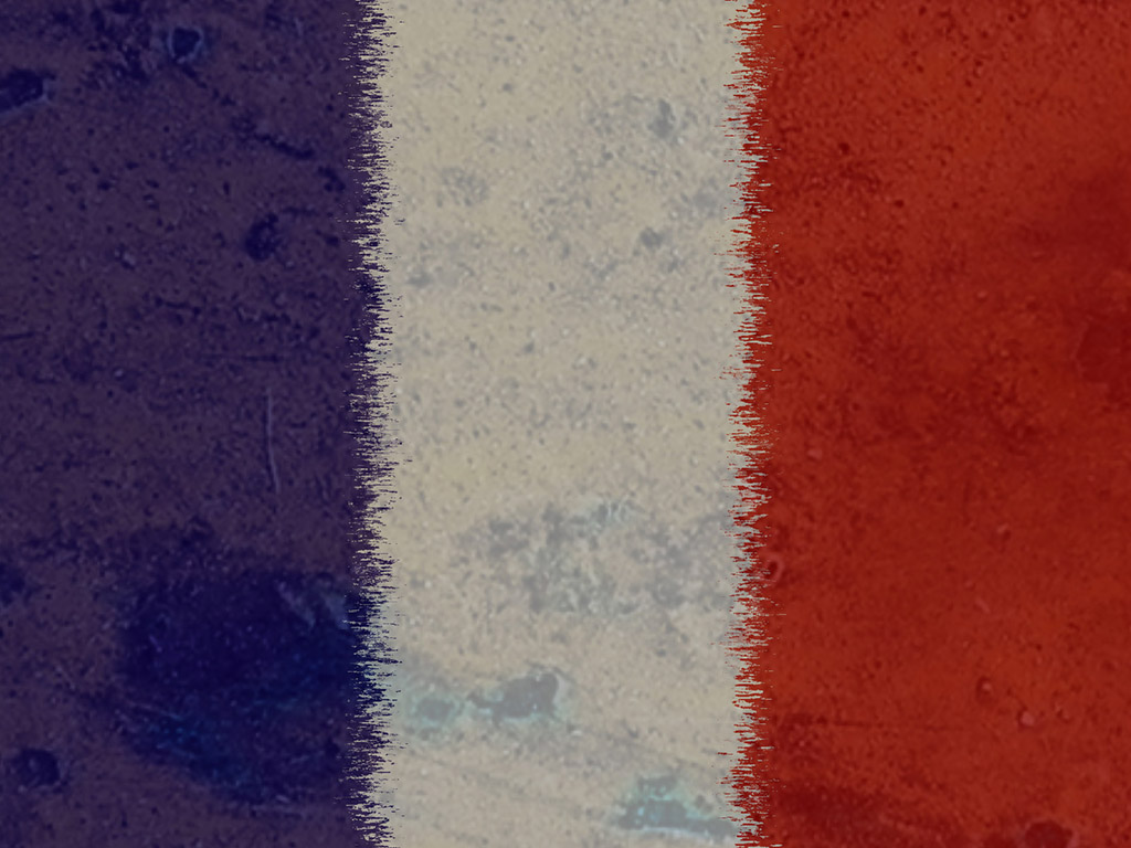 Flagge Frankreichs 013