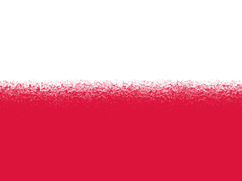 Polnische Flagge 003