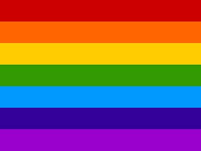 Regenbogenflagge - Fahne - violett, indigo, blau, grün, gelb, orange, rot
